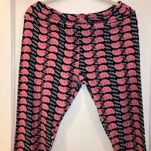 LuLaRoe TC Leggings (Adorable Raccoons)